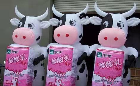 武隆牛奶厂广告气模